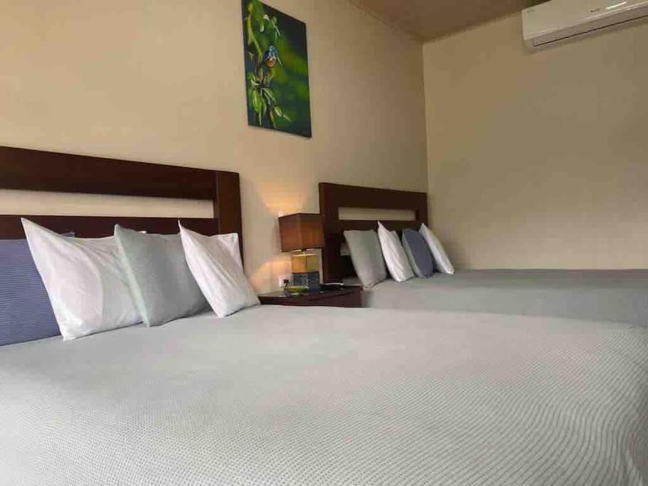 Lisa Loft Boutique Apartment La Fortuna المظهر الخارجي الصورة