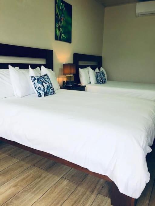 Lisa Loft Boutique Apartment La Fortuna المظهر الخارجي الصورة