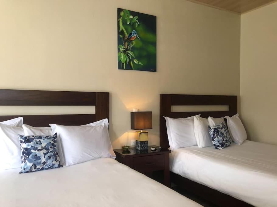 Lisa Loft Boutique Apartment La Fortuna المظهر الخارجي الصورة